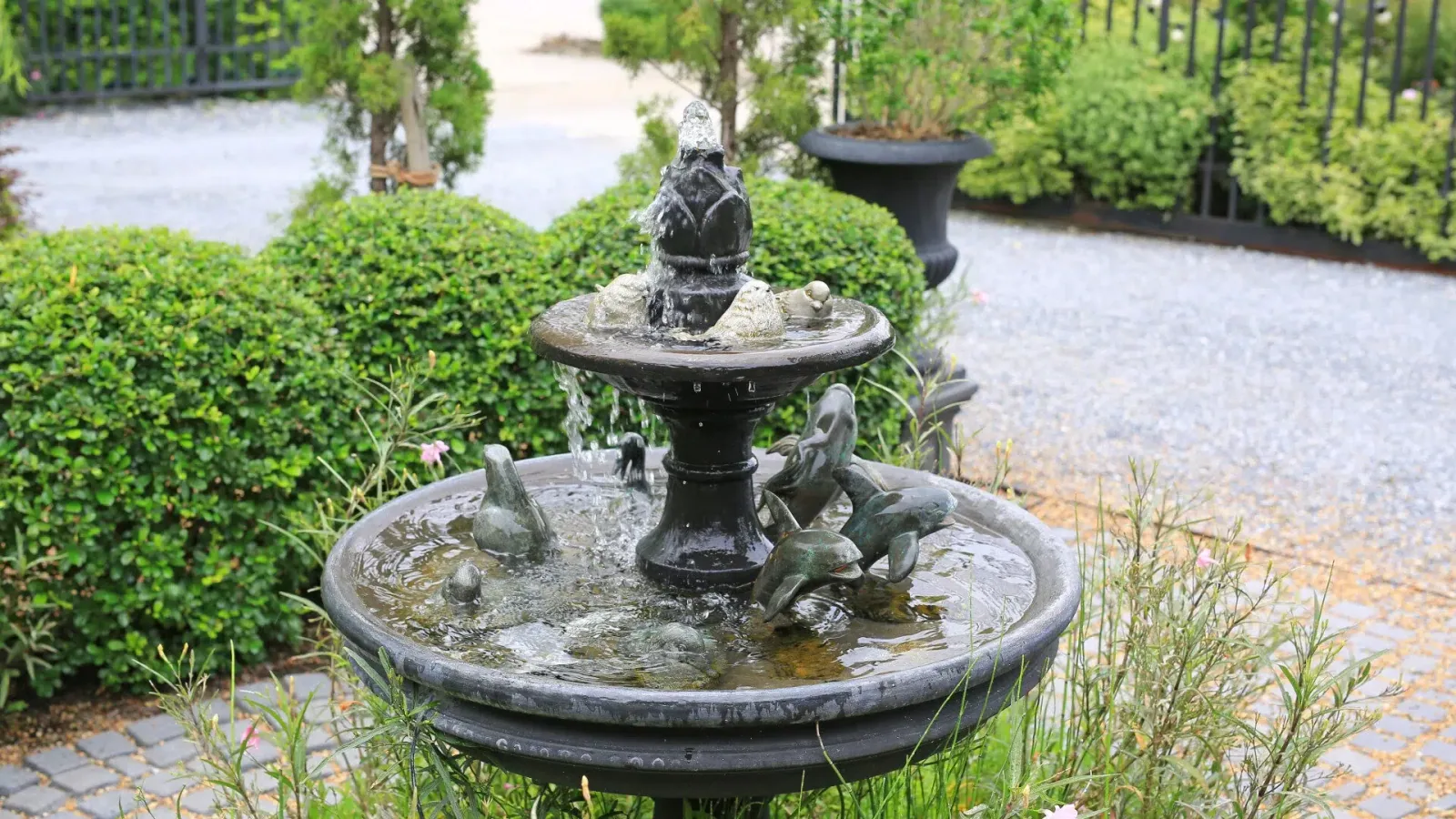 elegant water fountain