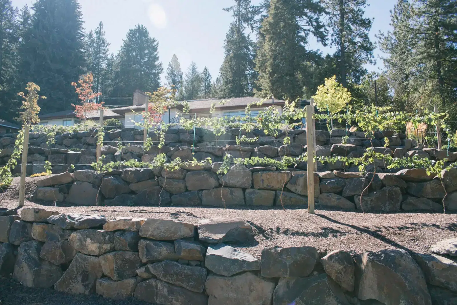Multi-Level Garden Beds with Tiered Stone Walls