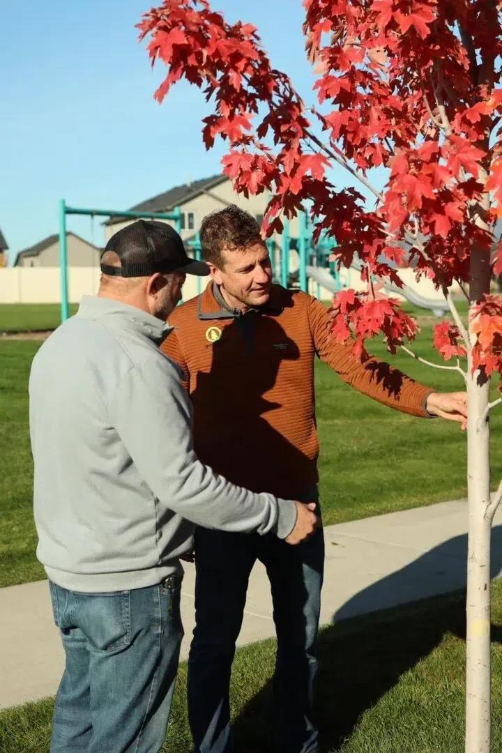 On-Site Consultation for Tree Placement