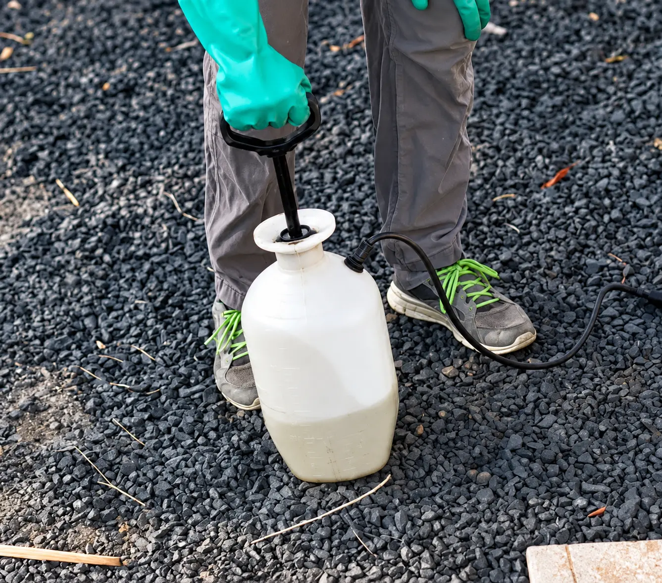 We use top grade pesticides